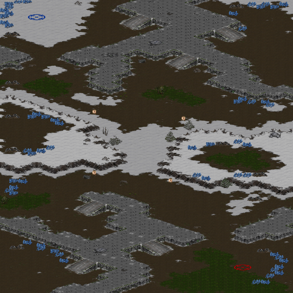 Frigid Forest