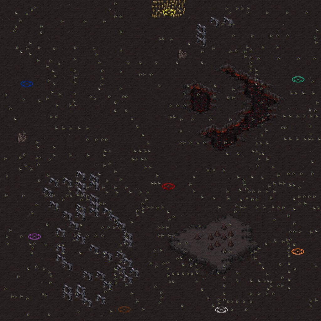 The Bait