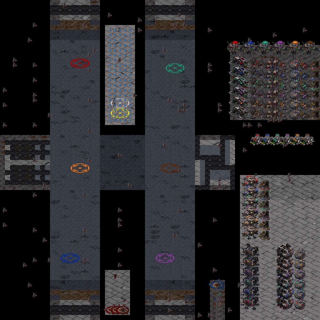 Terran D